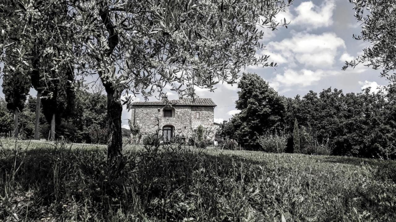 Podere Pievina Delle Corti - Dimora Di Campagna Sinalunga Luaran gambar