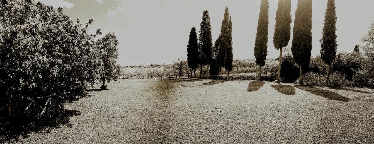 Podere Pievina Delle Corti - Dimora Di Campagna Sinalunga Luaran gambar