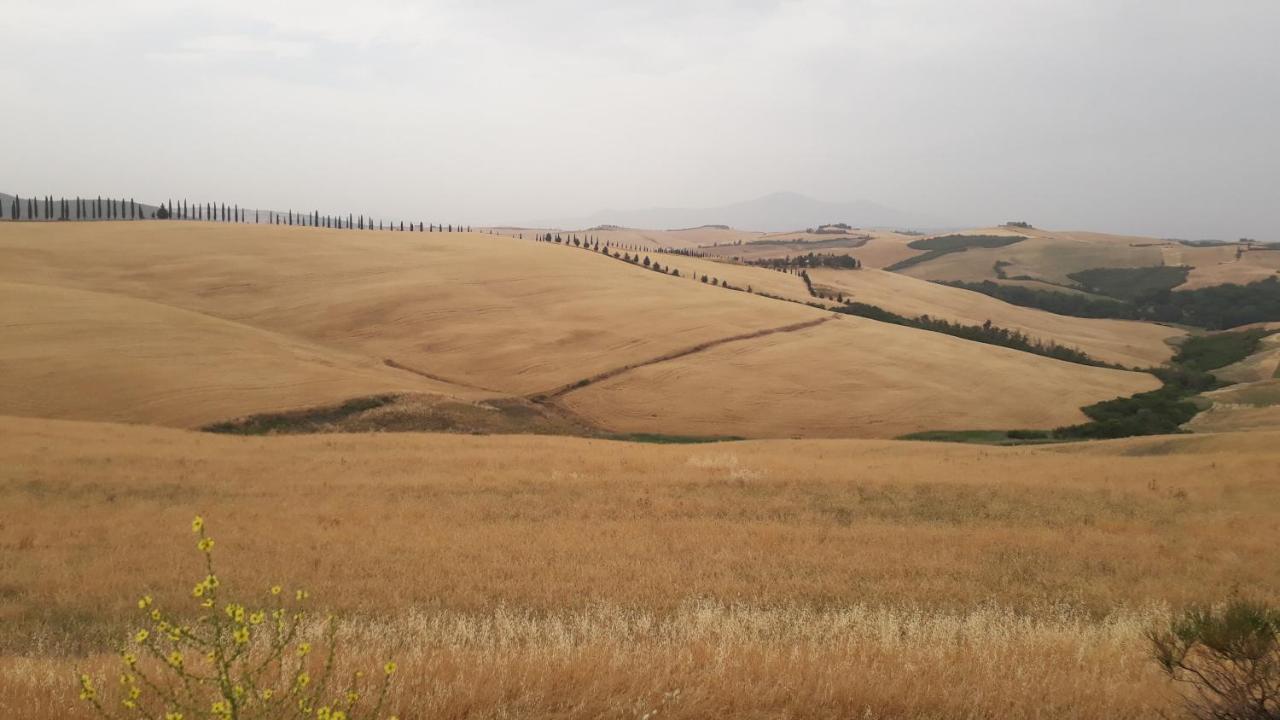 Podere Pievina Delle Corti - Dimora Di Campagna Sinalunga Luaran gambar