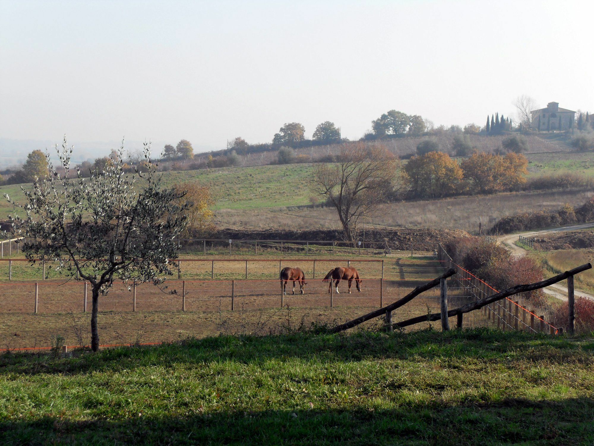 Podere Pievina Delle Corti - Dimora Di Campagna Sinalunga Luaran gambar